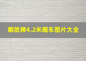 解放牌4.2米厢车图片大全