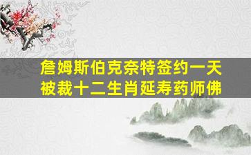 詹姆斯伯克奈特签约一天被裁十二生肖延寿药师佛