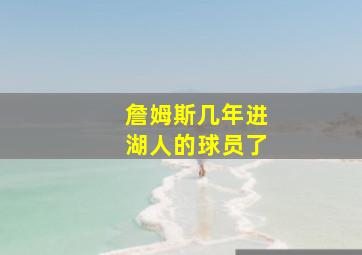 詹姆斯几年进湖人的球员了