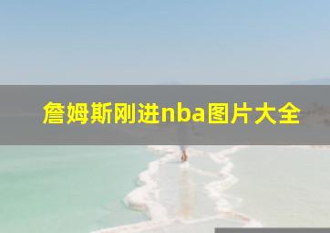 詹姆斯刚进nba图片大全