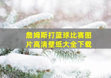 詹姆斯打篮球比赛图片高清壁纸大全下载