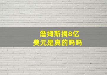 詹姆斯捐8亿美元是真的吗吗