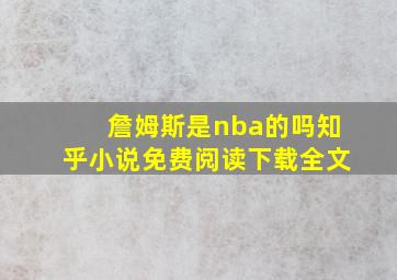 詹姆斯是nba的吗知乎小说免费阅读下载全文