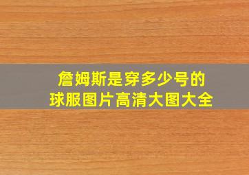 詹姆斯是穿多少号的球服图片高清大图大全