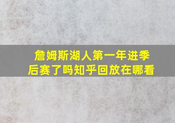 詹姆斯湖人第一年进季后赛了吗知乎回放在哪看