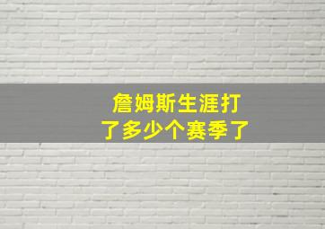 詹姆斯生涯打了多少个赛季了