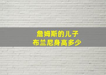 詹姆斯的儿子布兰尼身高多少