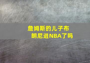 詹姆斯的儿子布朗尼进NBA了吗