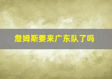 詹姆斯要来广东队了吗