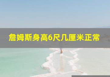 詹姆斯身高6尺几厘米正常