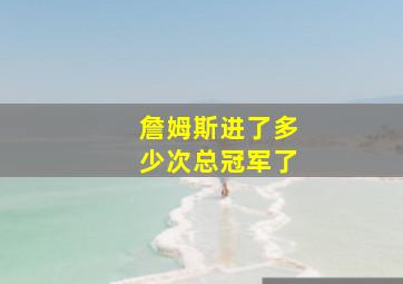 詹姆斯进了多少次总冠军了