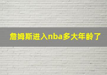 詹姆斯进入nba多大年龄了