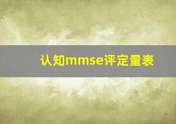 认知mmse评定量表