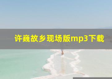 许巍故乡现场版mp3下载