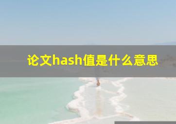 论文hash值是什么意思