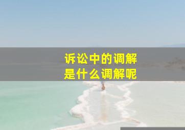 诉讼中的调解是什么调解呢