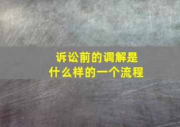 诉讼前的调解是什么样的一个流程