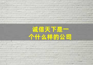 诚信天下是一个什么样的公司