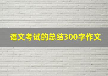 语文考试的总结300字作文