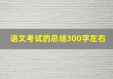 语文考试的总结300字左右