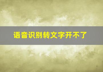 语音识别转文字开不了