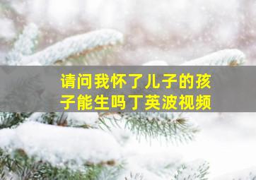 请问我怀了儿子的孩子能生吗丁英波视频