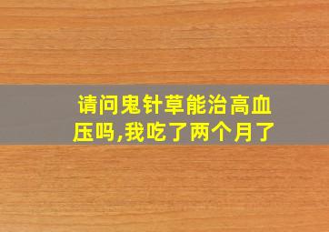 请问鬼针草能治高血压吗,我吃了两个月了