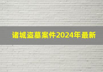 诸城盗墓案件2024年最新