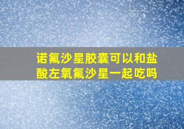 诺氟沙星胶囊可以和盐酸左氧氟沙星一起吃吗