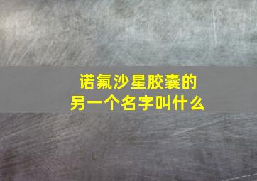 诺氟沙星胶囊的另一个名字叫什么