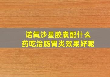 诺氟沙星胶囊配什么药吃治肠胃炎效果好呢