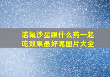 诺氟沙星跟什么药一起吃效果最好呢图片大全