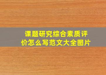 课题研究综合素质评价怎么写范文大全图片