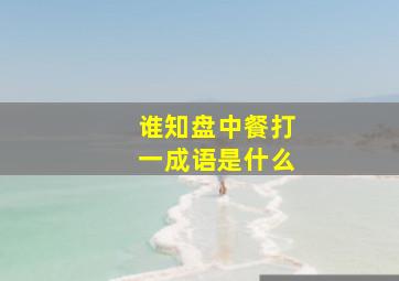 谁知盘中餐打一成语是什么