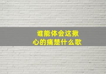 谁能体会这揪心的痛楚什么歌