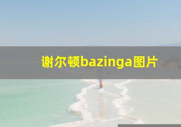 谢尔顿bazinga图片