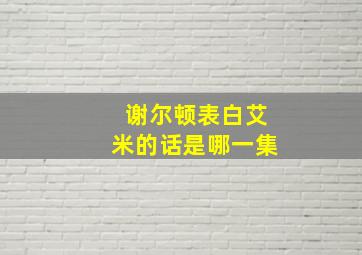 谢尔顿表白艾米的话是哪一集