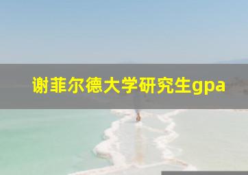 谢菲尔德大学研究生gpa