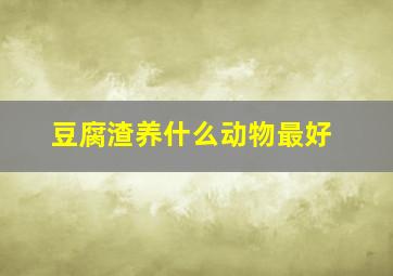 豆腐渣养什么动物最好