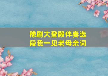 豫剧大登殿伴奏选段我一见老母亲词