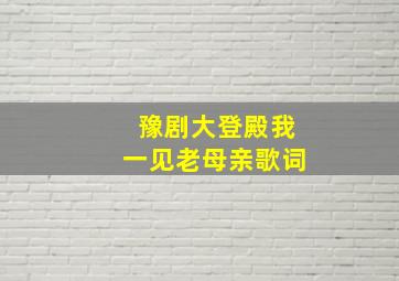 豫剧大登殿我一见老母亲歌词