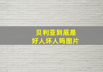 贝利亚到底是好人坏人吗图片