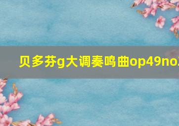 贝多芬g大调奏鸣曲op49no2