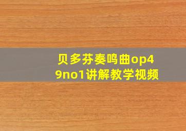 贝多芬奏鸣曲op49no1讲解教学视频