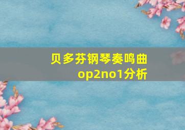 贝多芬钢琴奏鸣曲op2no1分析