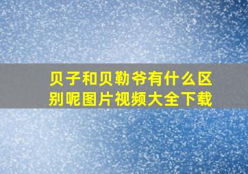 贝子和贝勒爷有什么区别呢图片视频大全下载