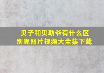 贝子和贝勒爷有什么区别呢图片视频大全集下载