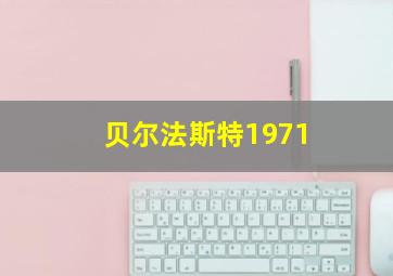 贝尔法斯特1971