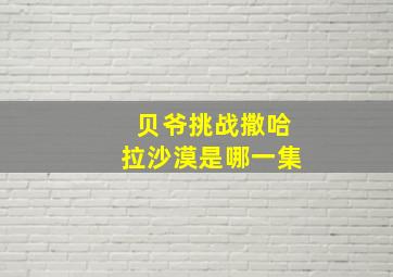 贝爷挑战撒哈拉沙漠是哪一集