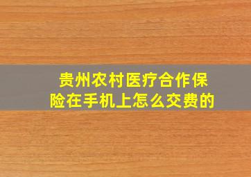 贵州农村医疗合作保险在手机上怎么交费的